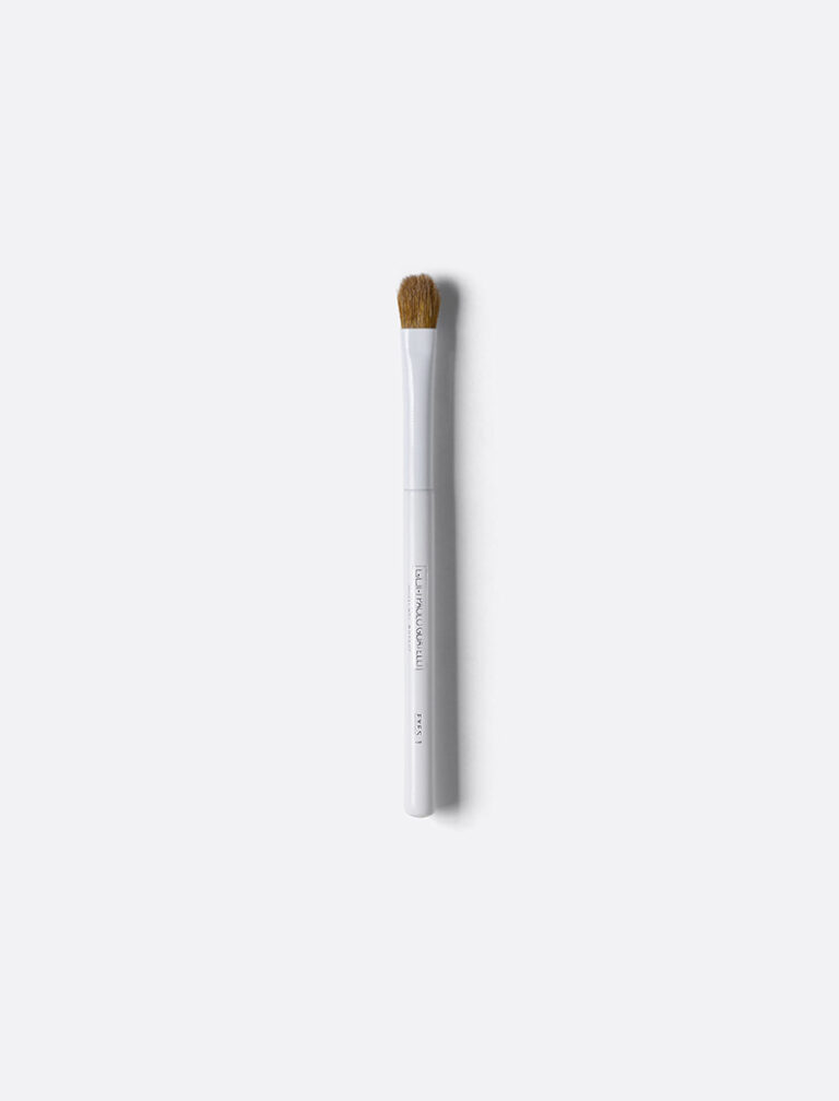 PR752_PROFESSIONAL BRUSH-EYES 1-SMALL_1