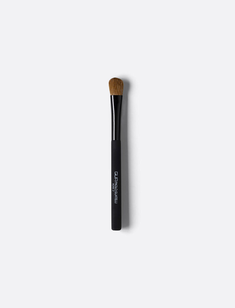 PR753_PROFESSIONAL BRUSH-EYES 2- LARGE_1