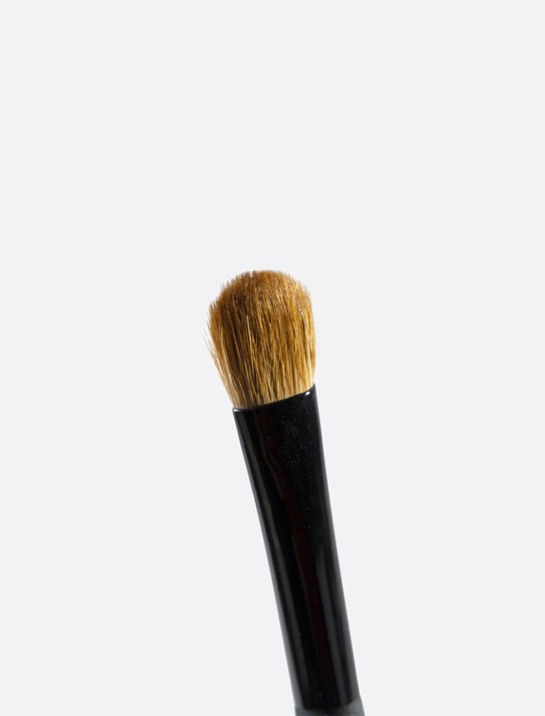 PR753_Professional_brush_eyes_large_3