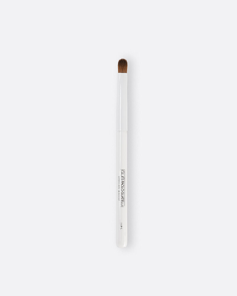 Professional Brush Lips