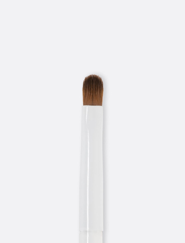 PR751 – Professionale Brush Lips_2